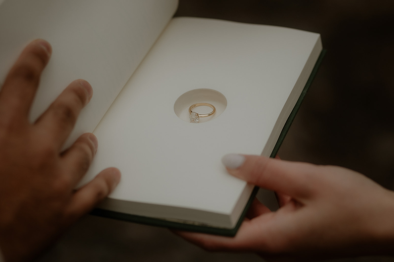 Engagement ring hidden inside a book during a proposal in Glencoe
